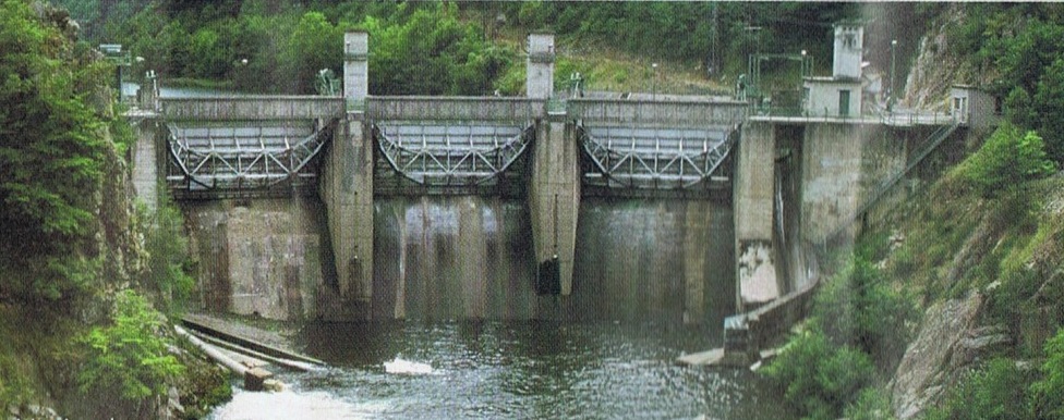 Description : Description : D:\Jean\Mes sites Web\site-RE\patri\renouvelable-contre-biodiversite_fichiers\poutes.jpg